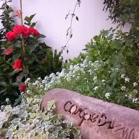 Carpe Diem B&B